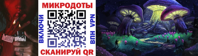 Псилоцибиновые грибы Psilocybe Циолковский