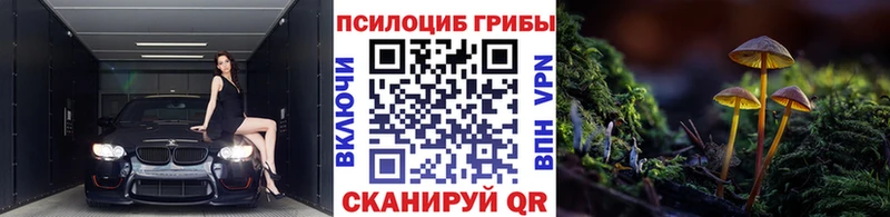 shop формула  Циолковский  Псилоцибиновые грибы прущие грибы 